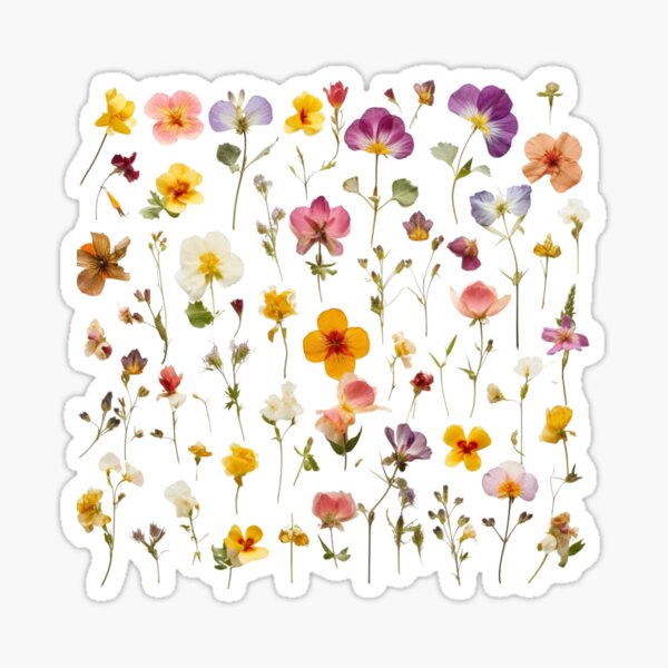 Item preview, pressed flowers designed and sold by Moon Valley Emporium.