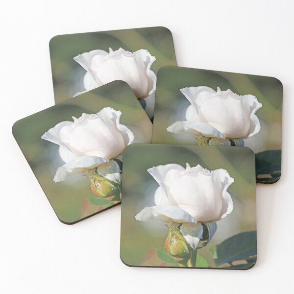 Item preview, White Rose designed and sold by STHogan2.