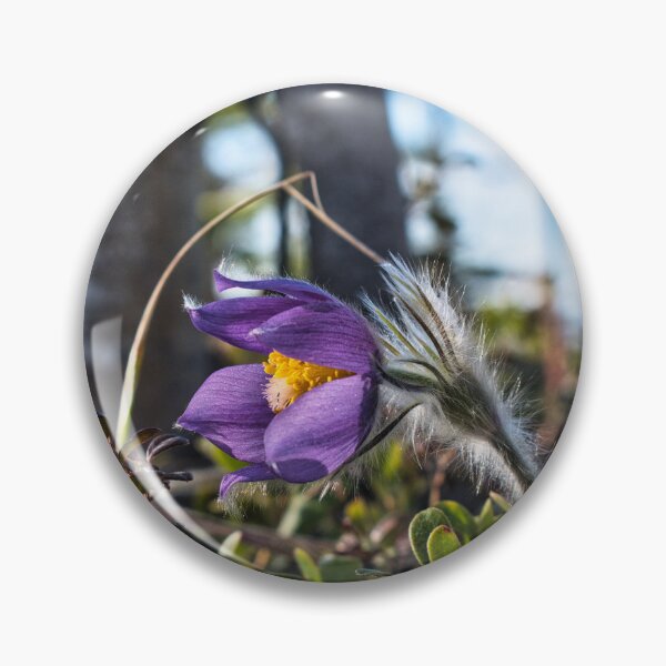 Item preview, First Bloom of Spring designed and sold by mahnkephotos.