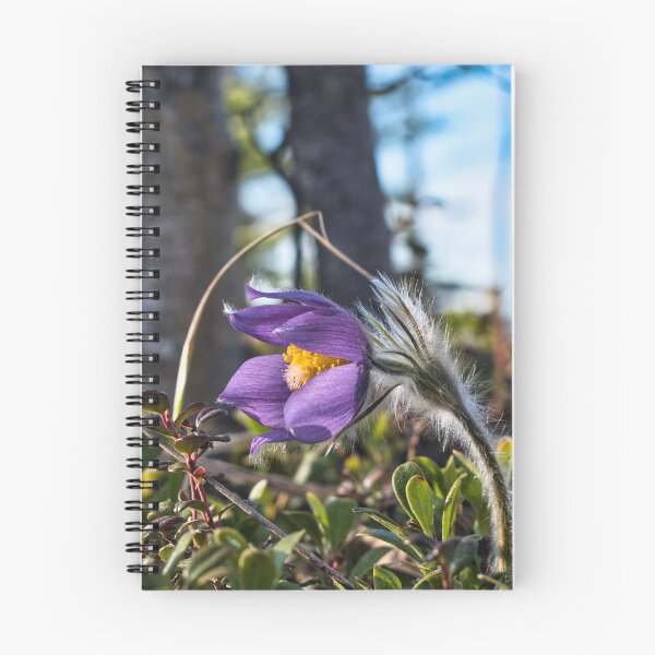 Item preview, First Bloom of Spring designed and sold by mahnkephotos.