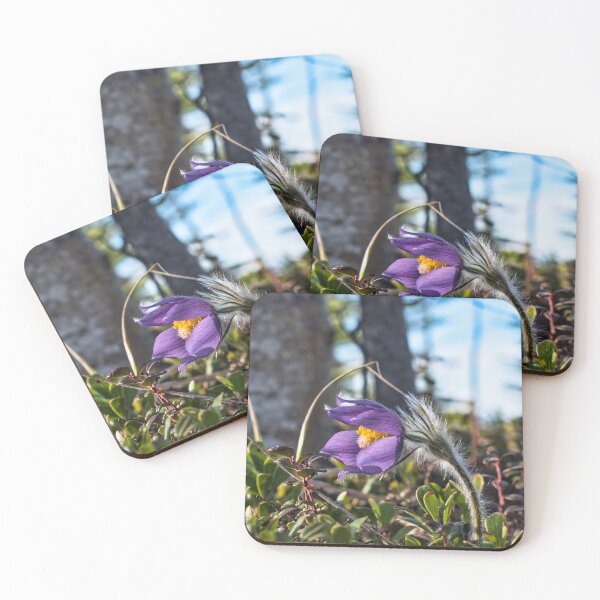 Item preview, First Bloom of Spring designed and sold by mahnkephotos.