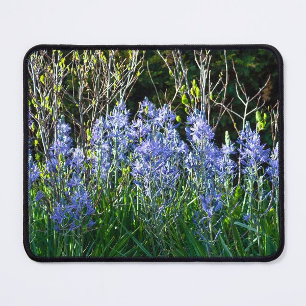 Item preview, Lillies in chicago  designed and sold by Maphotography.Culturelife .