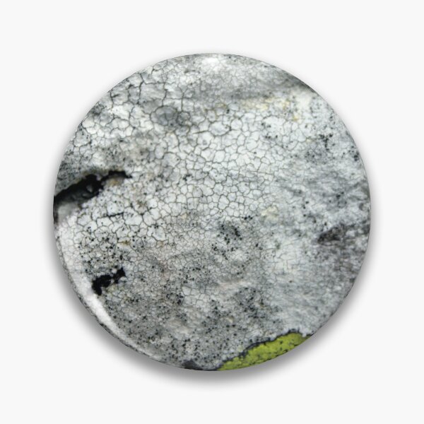 Item preview, lichen designed and sold by KathleenDawson.