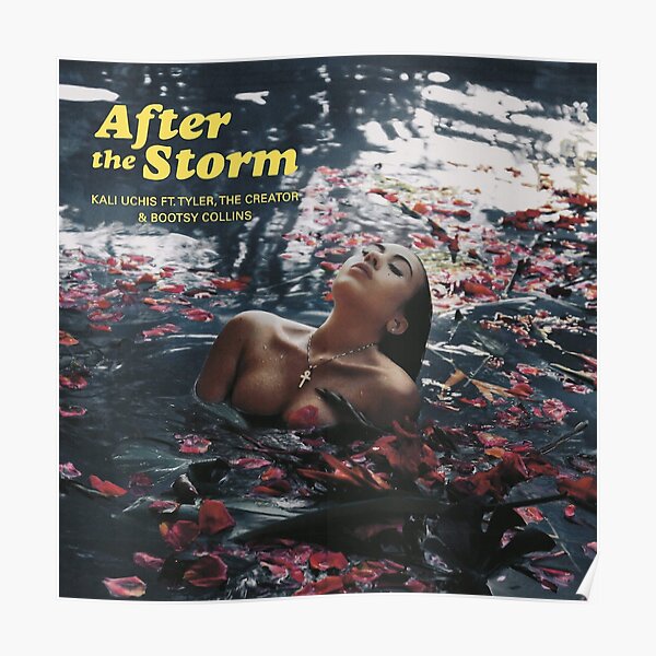 After The Storm Poster