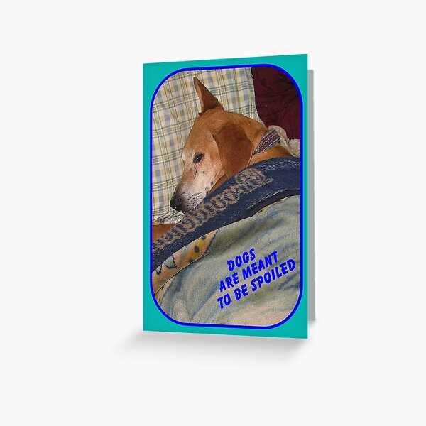 Dogs are Meant to be Spoiled Greeting Card