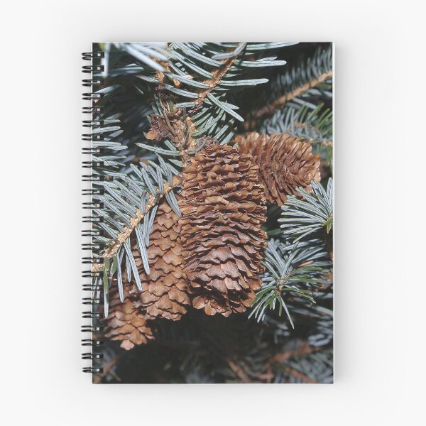 Item preview, Spruce Cones And Branches designed and sold by rvjames.