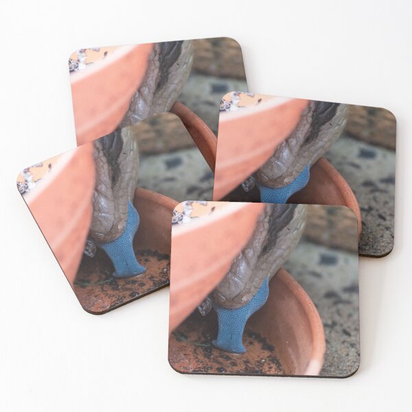 Item preview, Blue Tongued Lizard Drinking designed and sold by suziq1962.