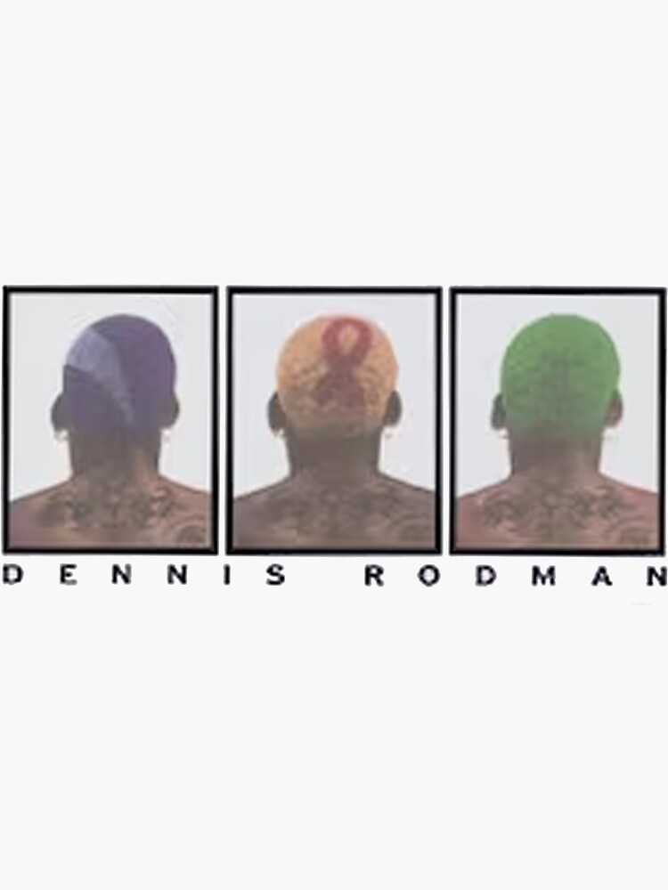 Dennis Rodman Chicago Bulls Sticker for Sale by nudgeshop