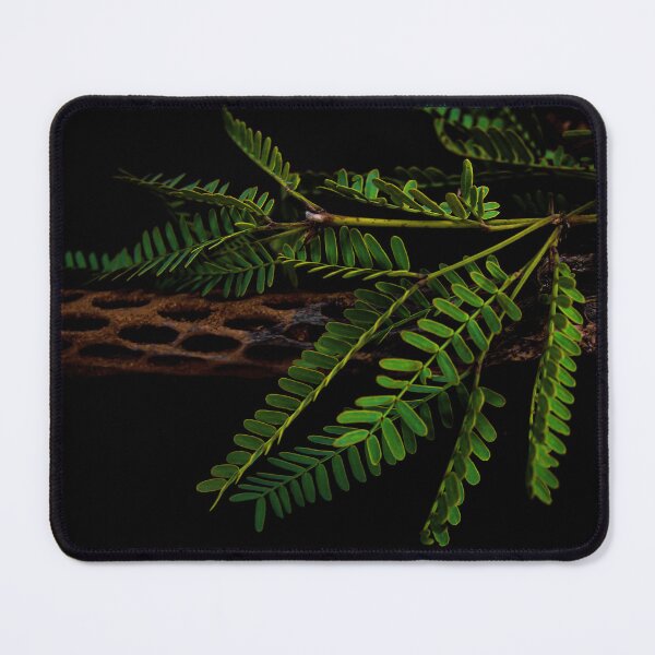 Item preview, Desert Cholla Wood and Mesquite on Black designed and sold by SiliconValleyUS.