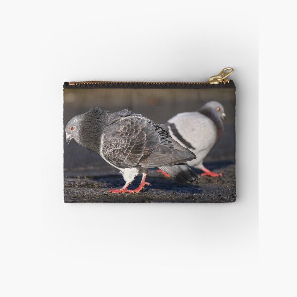Item preview, Pigeon courtship II designed and sold by GreyFeatherPhot.