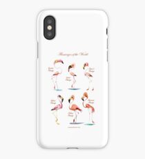 Flamingos of the World iPhone Case