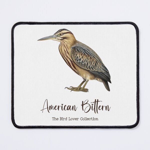 Item preview, American Bittern - The Bird Lover Collection designed and sold by GoodOldVintage.