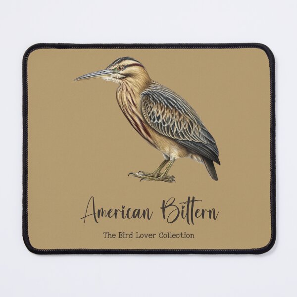 Item preview, American Bittern - The Bird Lover Collection designed and sold by GoodOldVintage.