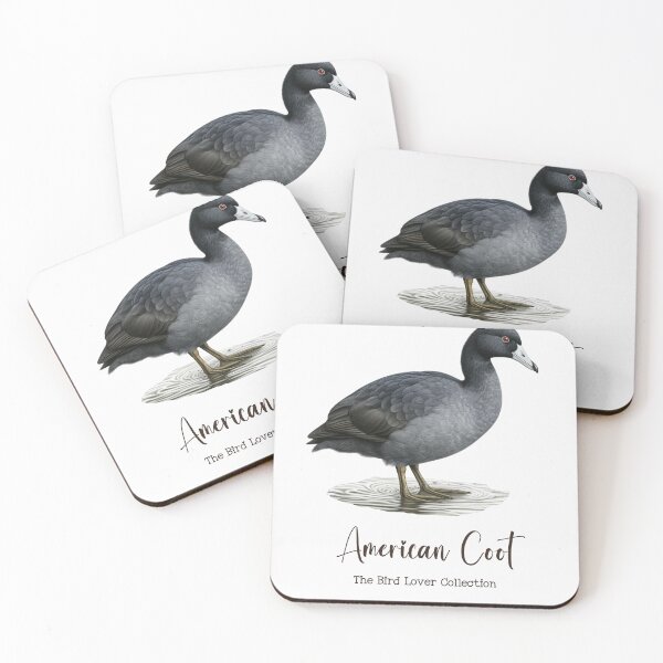Item preview, American Coot - The Bird Lover Collection designed and sold by GoodOldVintage.
