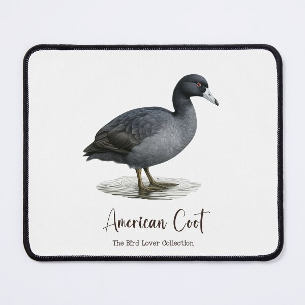 Item preview, American Coot - The Bird Lover Collection designed and sold by GoodOldVintage.