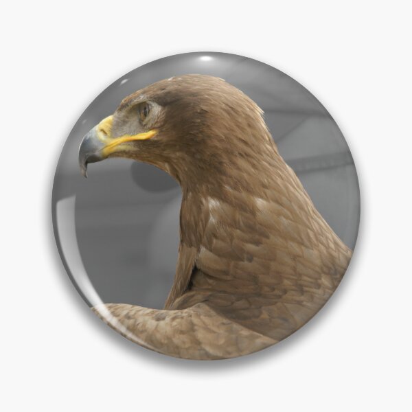 Item preview, Steppe Eagle at the New Forest Show designed and sold by LorrieBee.