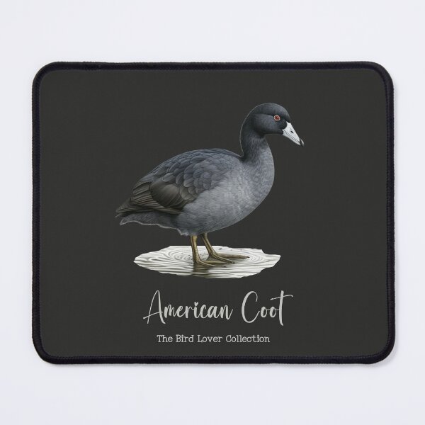 Item preview, American Coot - The Bird Lover Collection designed and sold by GoodOldVintage.