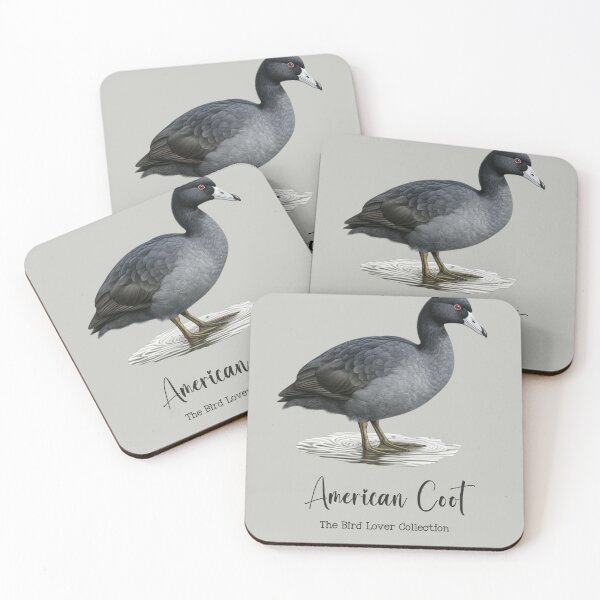 Item preview, American Coot - The Bird Lover Collection designed and sold by GoodOldVintage.