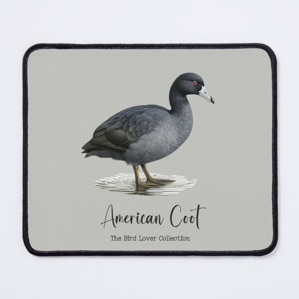 Item preview, American Coot - The Bird Lover Collection designed and sold by GoodOldVintage.