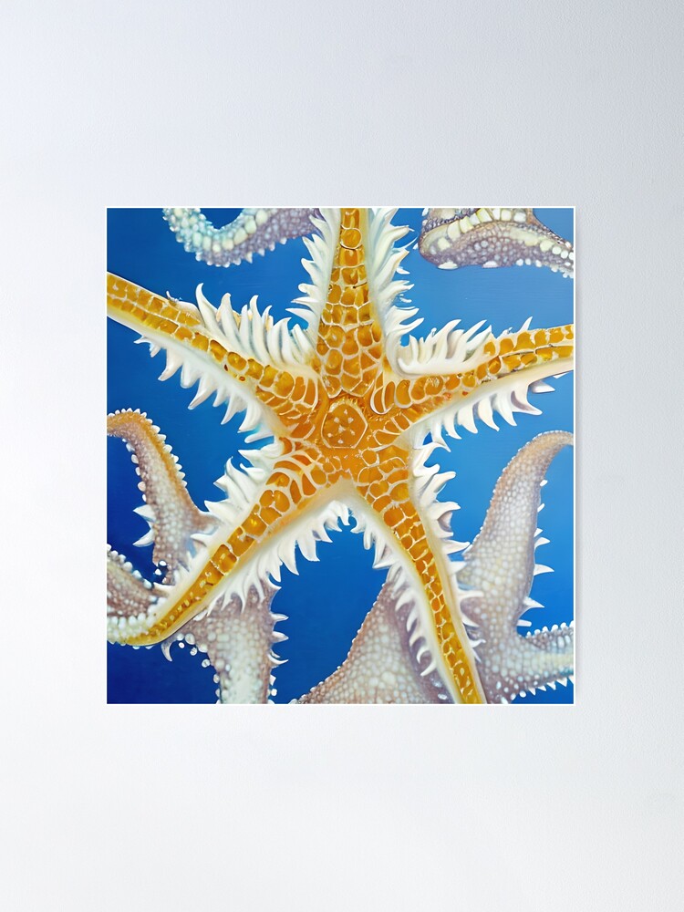 Tan/Orange Spiny Starfish