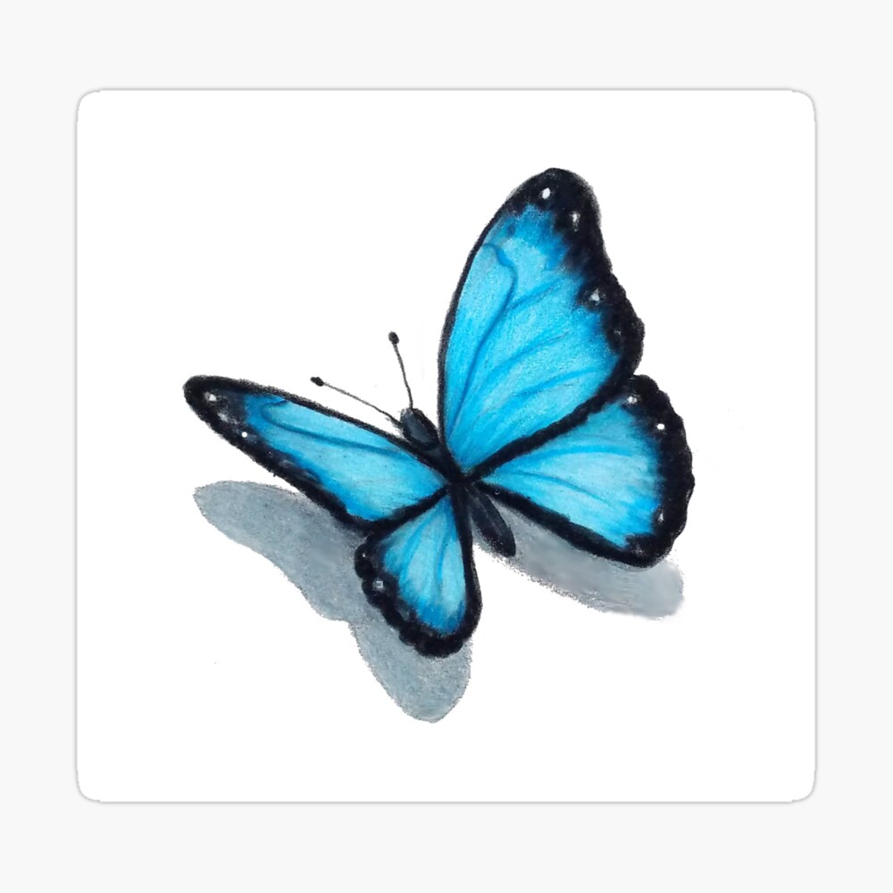 Drawing With Watercolor 3d Effect A Blue Butterfly High-Res Vector Graphic  - Getty Images