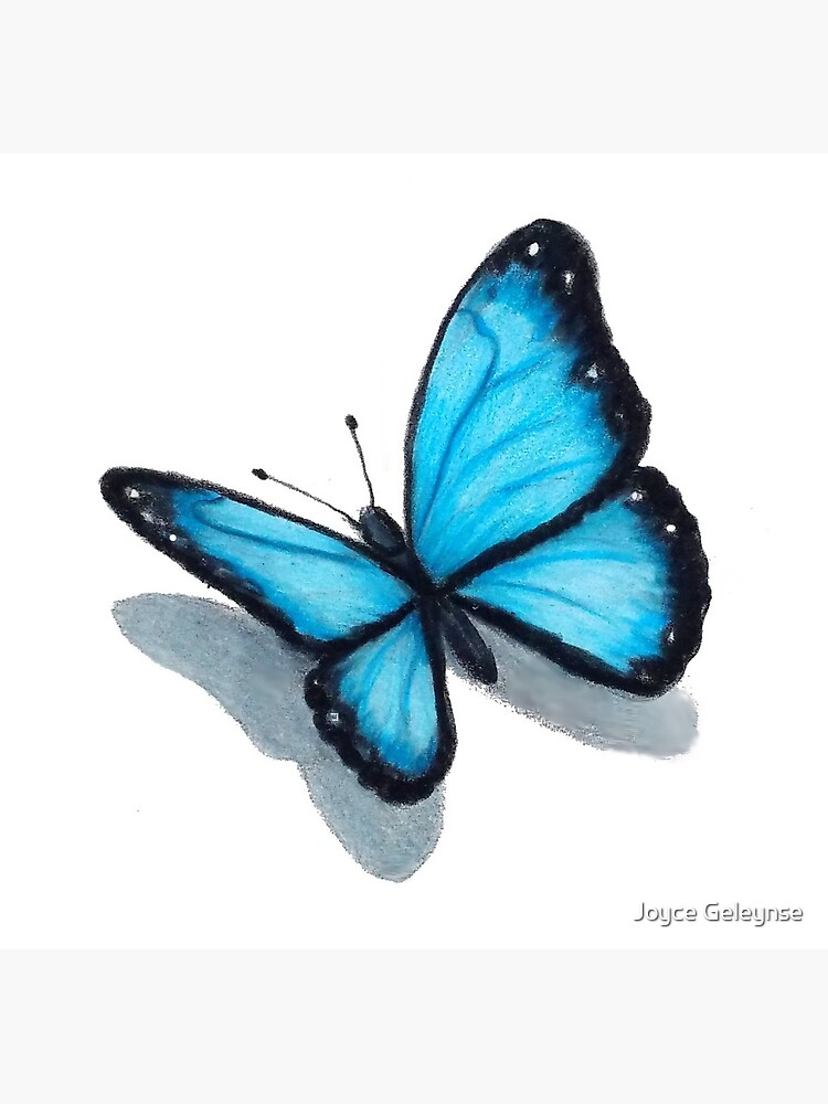 butterfly drawings with color for kids - Clip Art Library