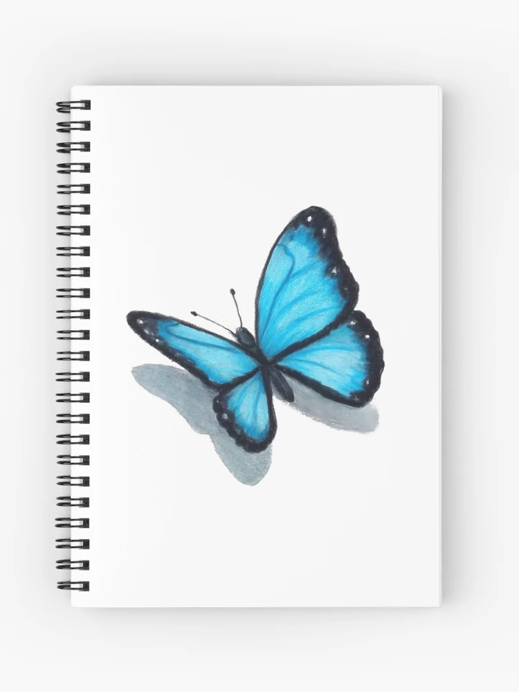 Blue Butterfly Drawing - Drawing Skill