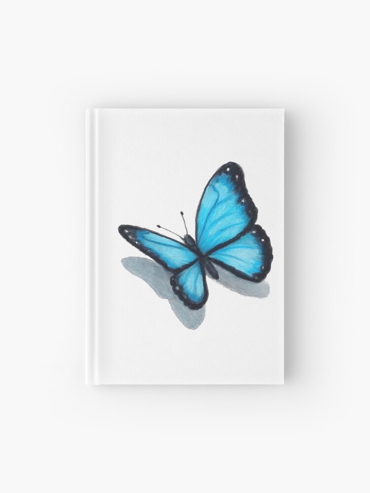Colored Butterfly Drawing Images - Drawing Skill
