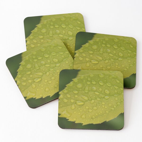 Item preview, A leaf in the fall designed and sold by Claude Laprise.