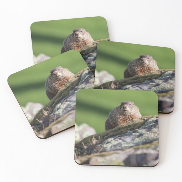 Item preview, Woodchuck on a Hill designed and sold by LisaNaturePhoto.