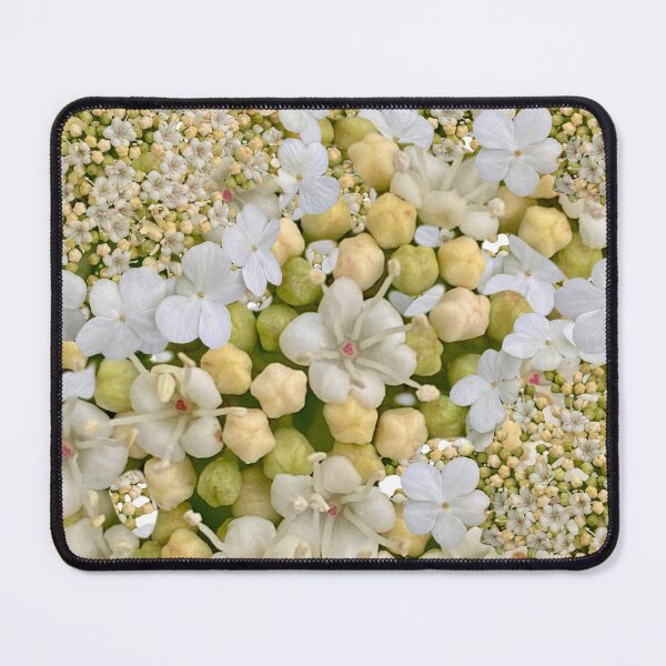 Item preview, White wild flower print designed and sold by Susan Gallup.