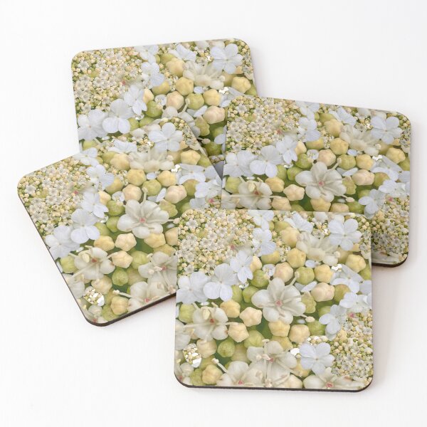 Item preview, White wild flower print designed and sold by Susan Gallup.