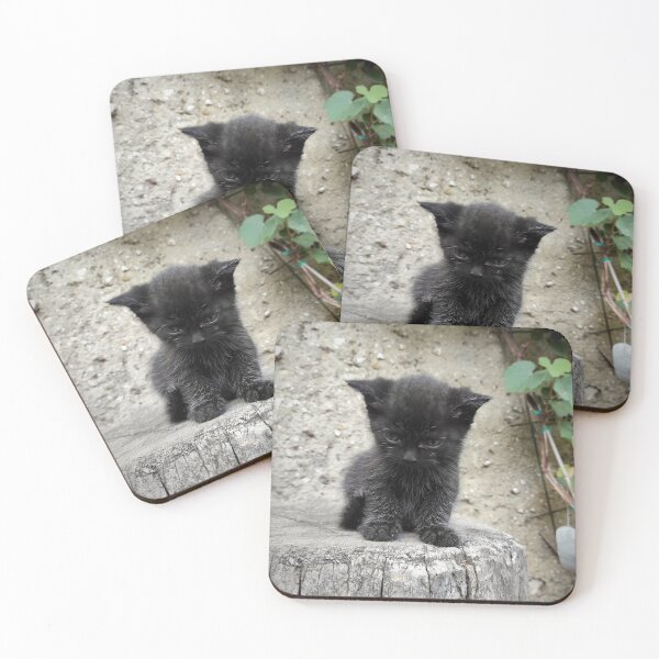Item preview, Little black cat designed and sold by Gourmetkater.