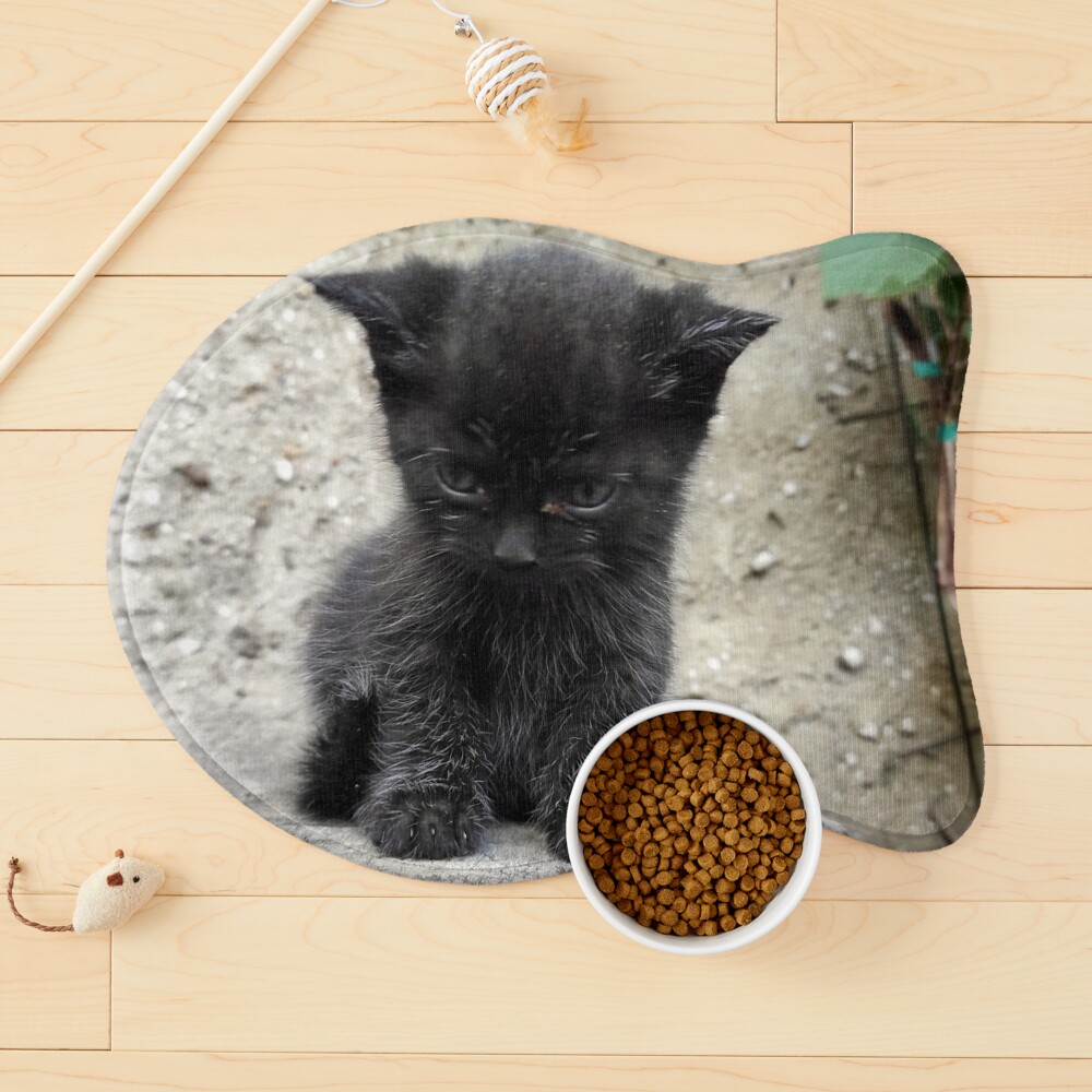 Artikel-Vorschau von Napfunterlage für Katzen, designt und verkauft von Gourmetkater.