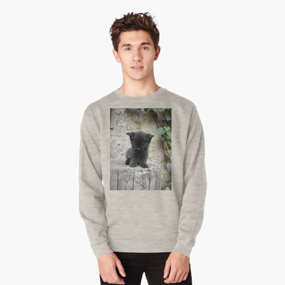 Artikel-Vorschau von Pullover, designt und verkauft von Gourmetkater.