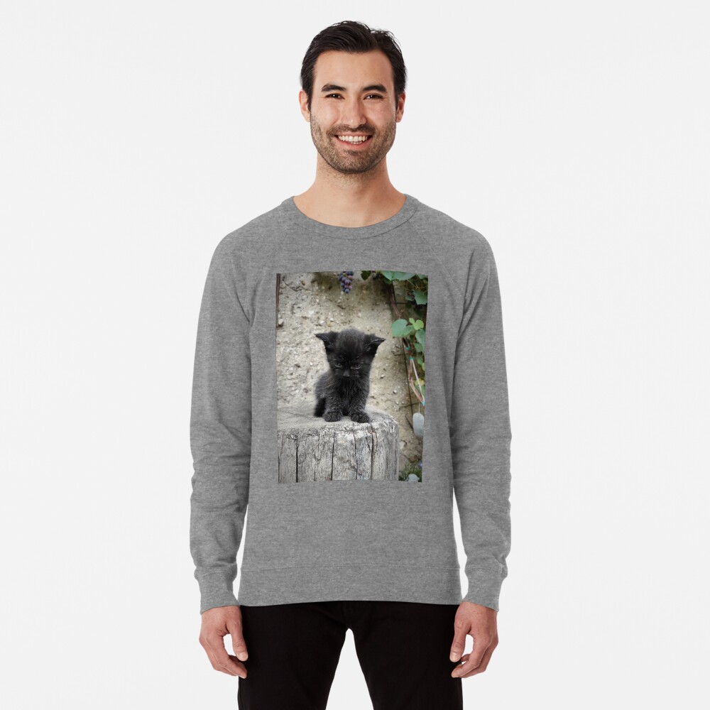 Artikel-Vorschau von Leichter Pullover, designt und verkauft von Gourmetkater.
