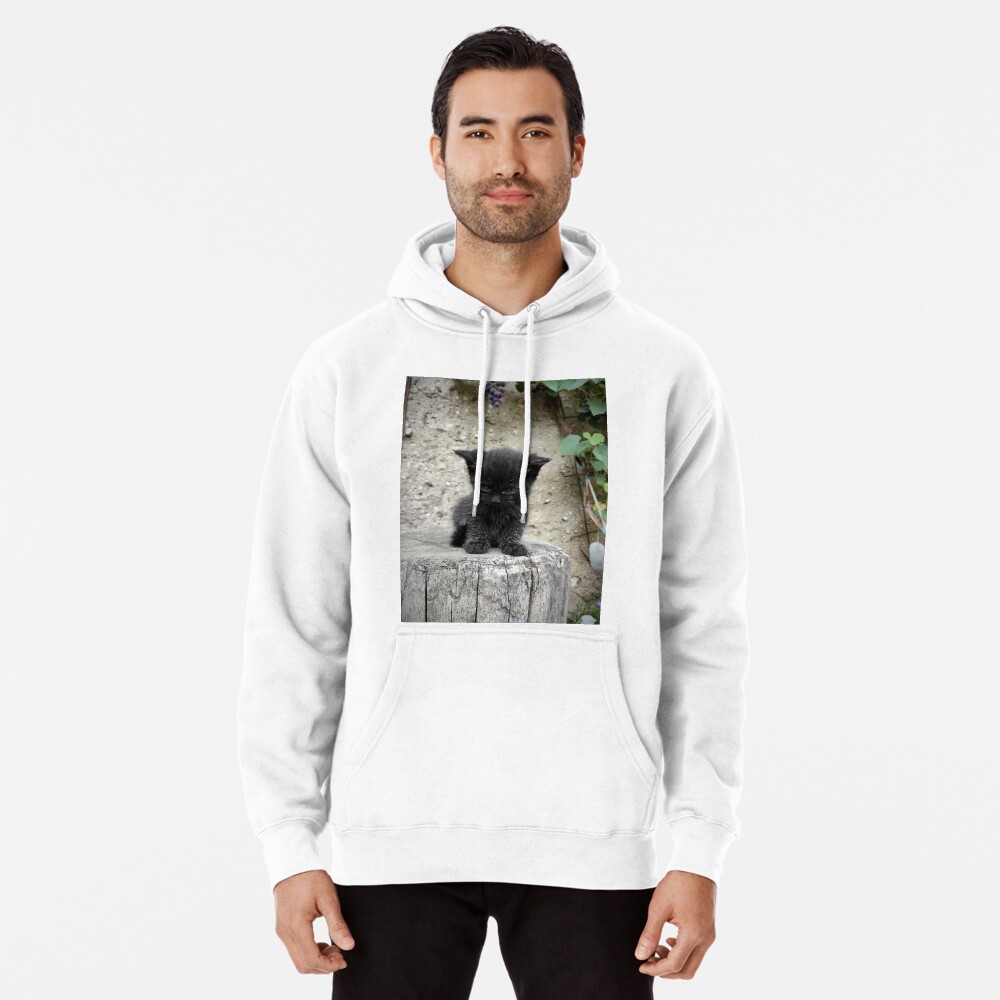 Artikel-Vorschau von Hoodie, designt und verkauft von Gourmetkater.