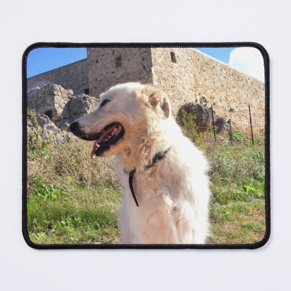 Item preview, Maremma sheepdog sitting 1 designed and sold by Furiarossa.
