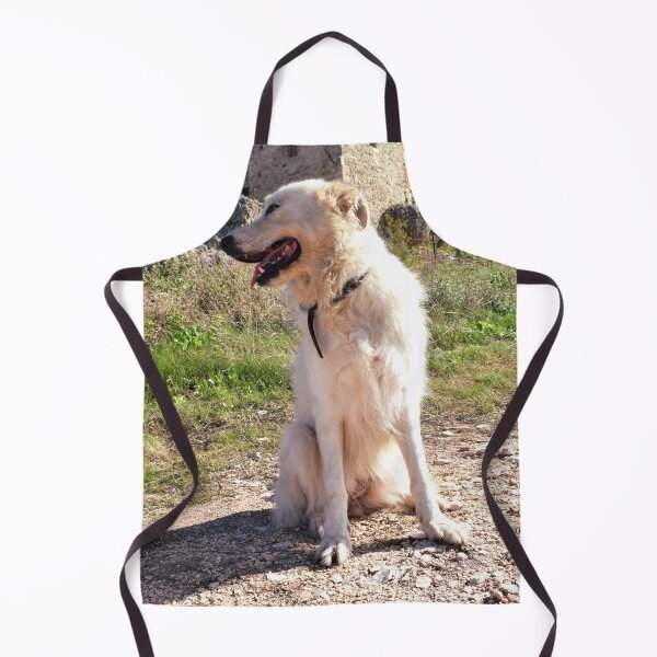Item preview, Maremma sheepdog sitting 1 designed and sold by Furiarossa.