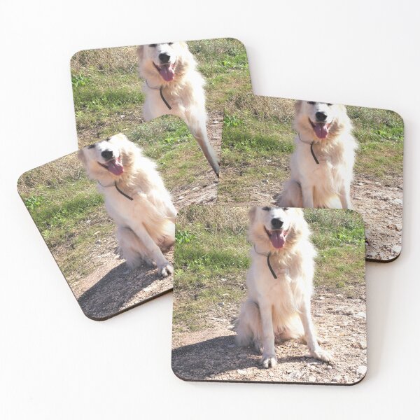 Item preview, Maremma sheepdog sitting 2 designed and sold by Furiarossa.
