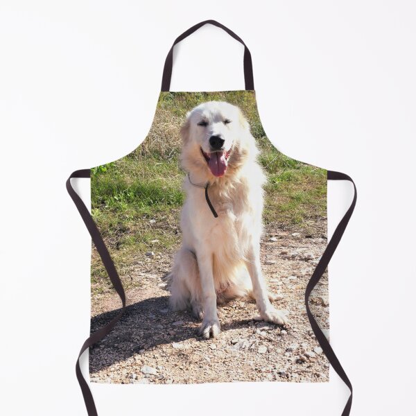 Item preview, Maremma sheepdog sitting 2 designed and sold by Furiarossa.