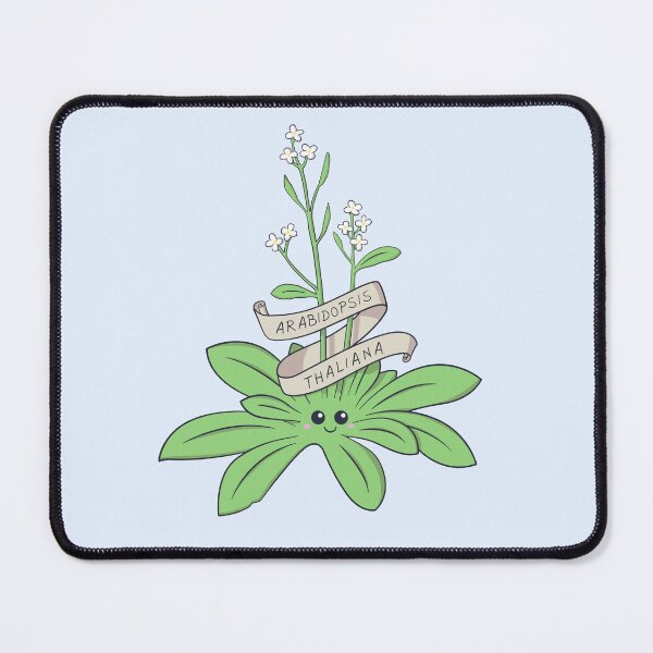 Item preview, Cute Arabidopsis thaliana plant designed and sold by cutescience.