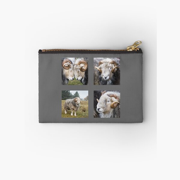 Item preview, Herdwick Sheep Collection, Rams designed and sold by Jane Stanley Photography.