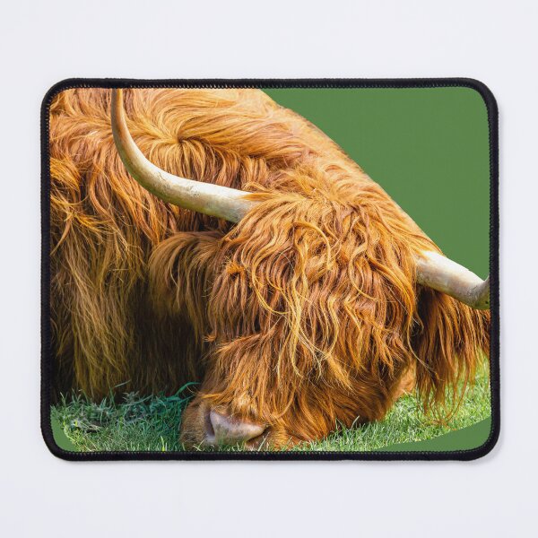 Item preview, BullDozing designed and sold by Dalyndigital Photography.