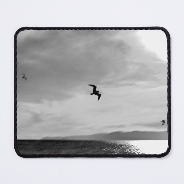 Item preview, 2013 Gabbiani in controluce designed and sold by robertoferrero.