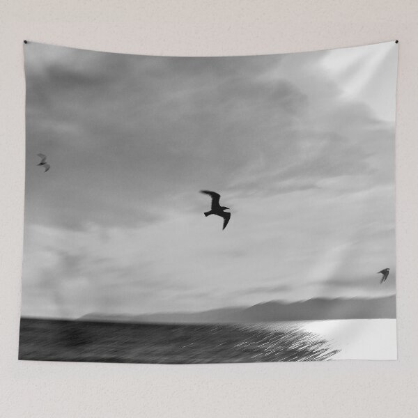 Item preview, 2013 Gabbiani in controluce designed and sold by robertoferrero.