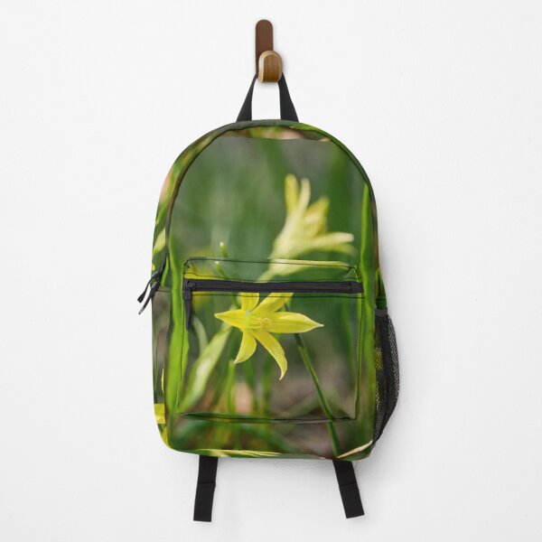 Item preview, Bringing the mini sun into the grass. Least Gagea designed and sold by Jouko Lehto Photography.