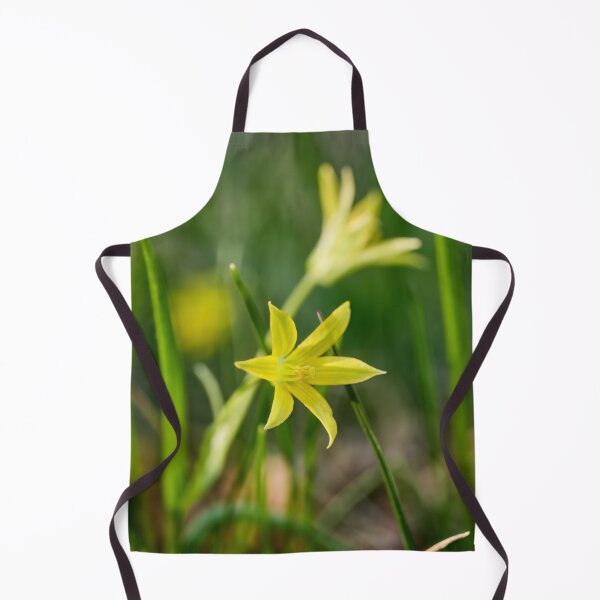 Item preview, Bringing the mini sun into the grass. Least Gagea designed and sold by Jouko Lehto Photography.