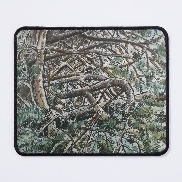 Item preview, Study of a cedar tree designed and sold by Gary Shaw.