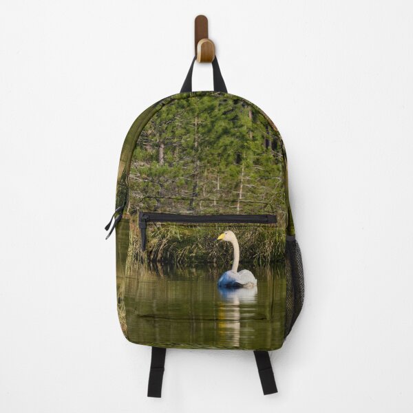 Item preview, The pair and incubation period behind the pines. Whooper swan designed and sold by Jouko Lehto Photography.